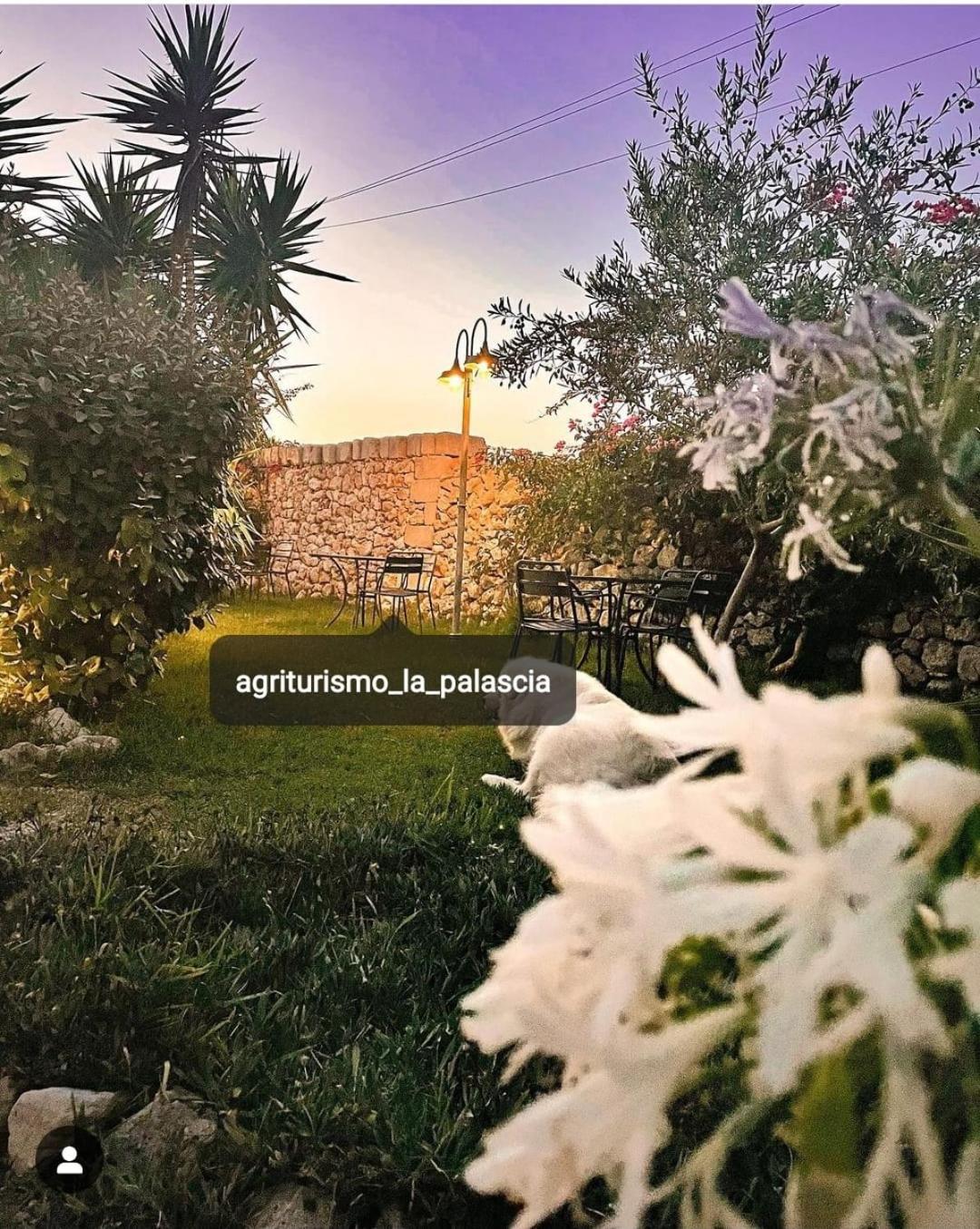 Agriturismo La Palascia Masseria Agreste Otranto Eksteriør bilde