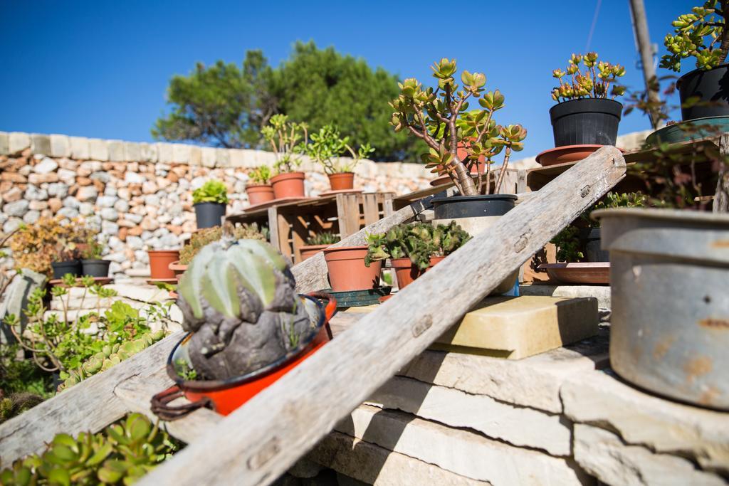 Agriturismo La Palascia Masseria Agreste Otranto Rom bilde