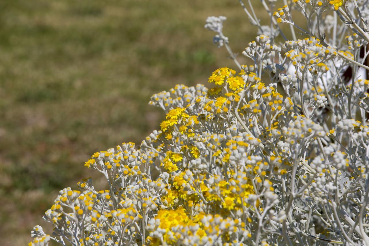 Agriturismo La Palascia Masseria Agreste Otranto Eksteriør bilde