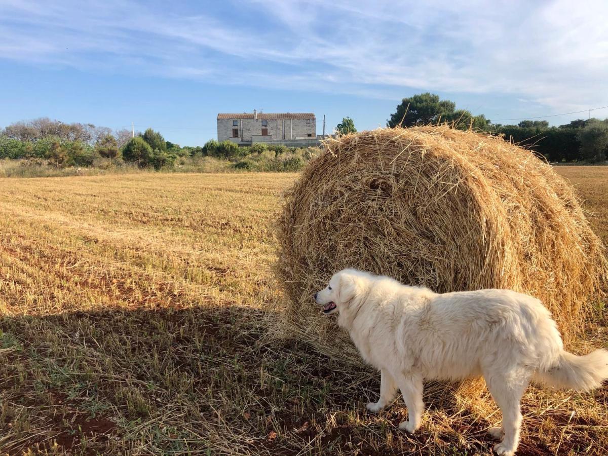 Agriturismo La Palascia Masseria Agreste Otranto Eksteriør bilde